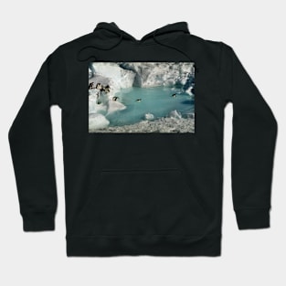 Adelie Procession #3 Hoodie